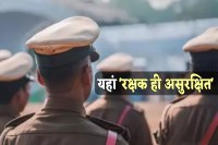 MP News