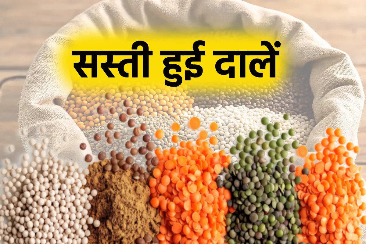 pulses price decreased