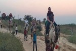 pushkar mela 2025