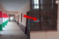 Churu Sarkari school