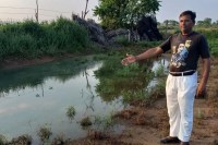 sawai madhopur