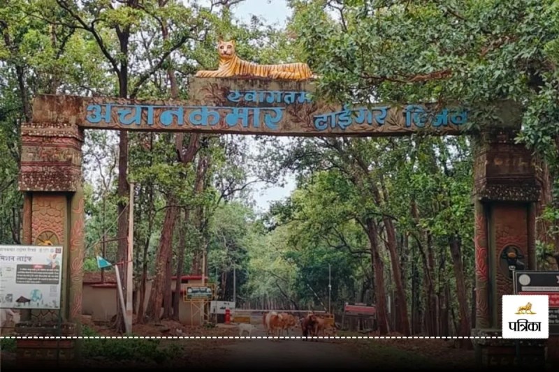 अचानकमार टाइगर रिजर्व (फोटो सोर्स- पत्रिका)
