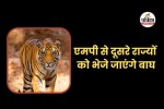 mp news
