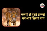 mp news