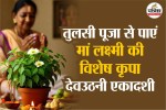 Tulsi Pujan, Tulsi Puja, Devuthani Ekadashi,tulsi aarti ,