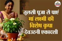 Tulsi Pujan, Tulsi Puja, Devuthani Ekadashi,tulsi aarti ,