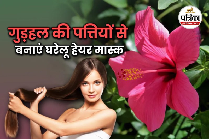 benefits of hibiscus leaves for hair,hibiscus leaves for hair, hair care tips,
