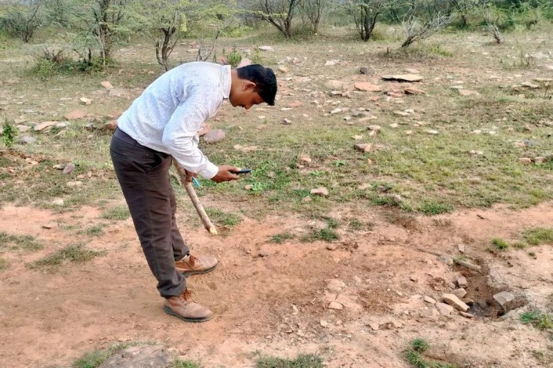 राज्य में बघेरों का सर्वे शुरू, पहली बार हो रही है वैज्ञानिक तरीके से गणना