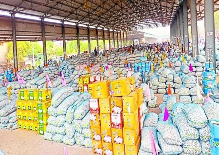 बारां जिले के लहसुन उत्पादन में प्रदेश में अग्रणी रहने के चलते मुख्यमंत्री ने बजट में इसकी घोषणा की थी। इसके तहत गुणवत्तापूर्ण लहसुन की खेती को ध्यान में रखते हुए लहसुन एक्सीलेंस सेन्टर की स्थापना की जानी थी।