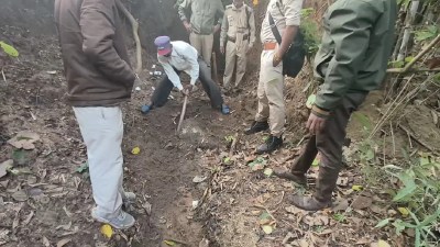 बाघ नाखून तस्करी का मामला, मैरा लामता के जंगल से खोद निकाला था बाघ का कंकाल