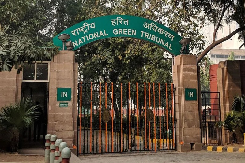Kotdi Dharam Talab case: Collector submits reply to NGT, says action is underway