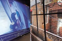 Jaipur Crime Johari Bazaar Robbery at jewellery showroom