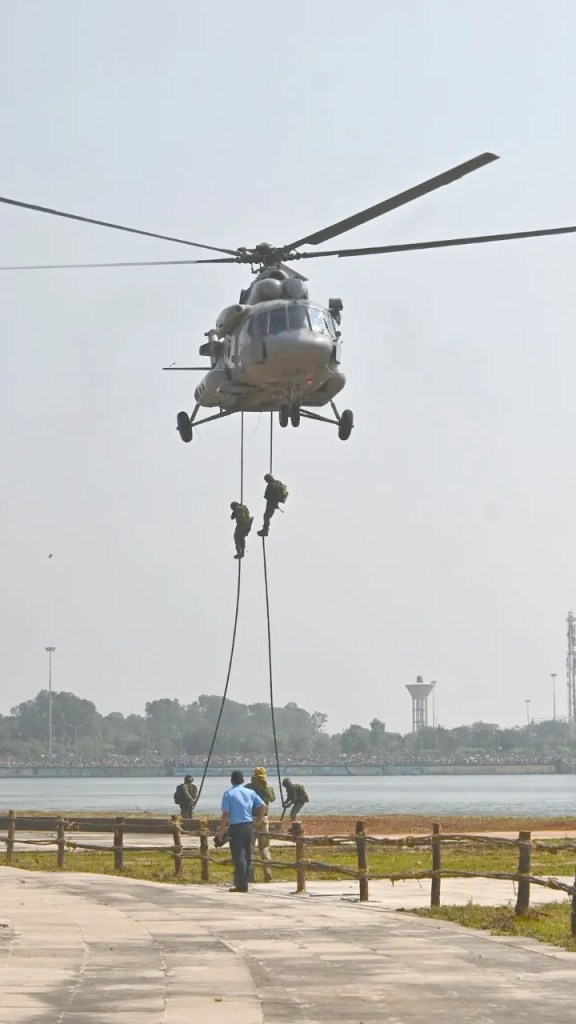 एयरोबैटिक शो