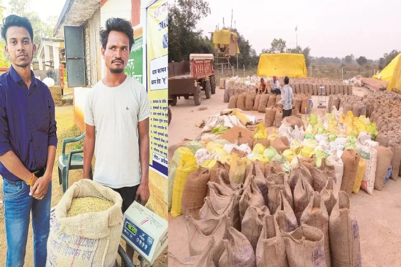 समर्थन मूल्य पर धान खरीदी 2025-26 जारी (photo source- Patrika)