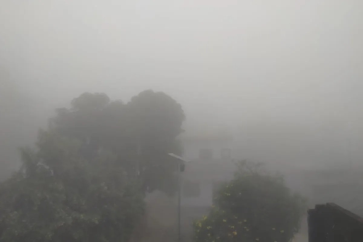 Weather