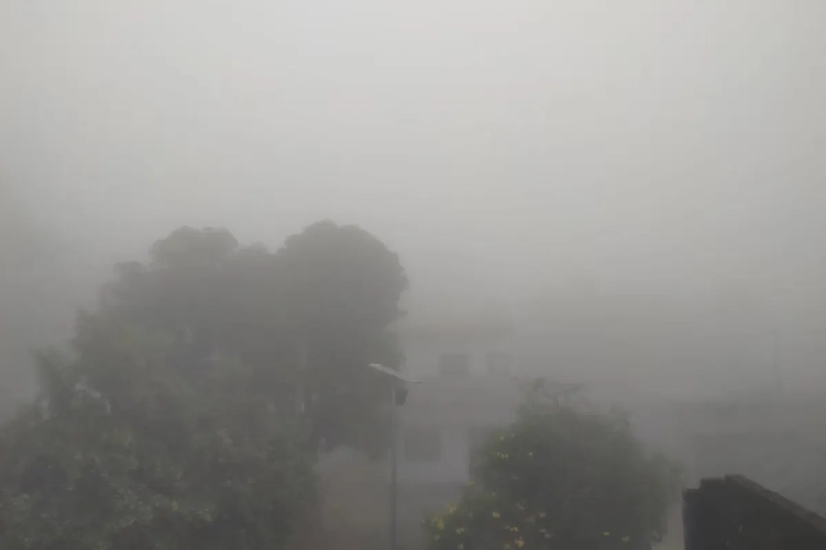 Weather