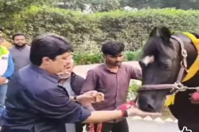 घोड़े को खिलाते राजा भैया फोटो सोर्स फेसबुक अकाउंट