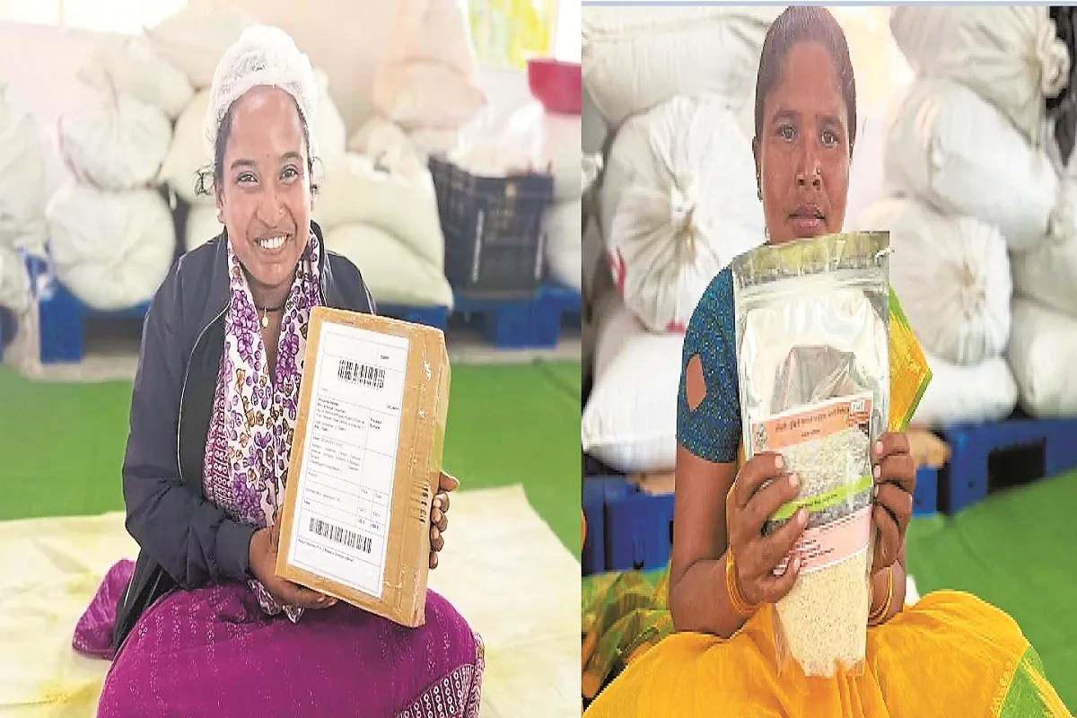 दंतेवाड़ा की जैविक खेती को मिल रही राष्ट्रीय पहचान (photo source- Patrika)