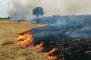 Penalty for burning stubble