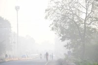 अगले 48 घंटे में तापमान में और गिरावट, कई जिलों में घना कोहरा छाने की चेतावनी (फोटो सोर्स : Patrika)