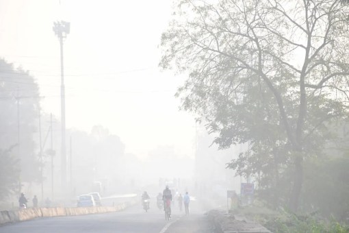 अगले 48 घंटे में तापमान में और गिरावट, कई जिलों में घना कोहरा छाने की चेतावनी (फोटो सोर्स : Patrika)