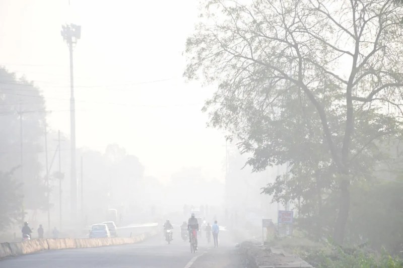 अगले 48 घंटे में तापमान में और गिरावट, कई जिलों में घना कोहरा छाने की चेतावनी (फोटो सोर्स : Patrika)