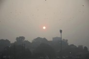 UP Winter (फोटो सोर्स : Patrika)