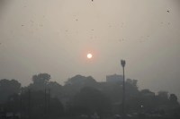 UP Winter (फोटो सोर्स : Patrika)