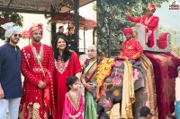 Udaipur Royal Wedding Photos