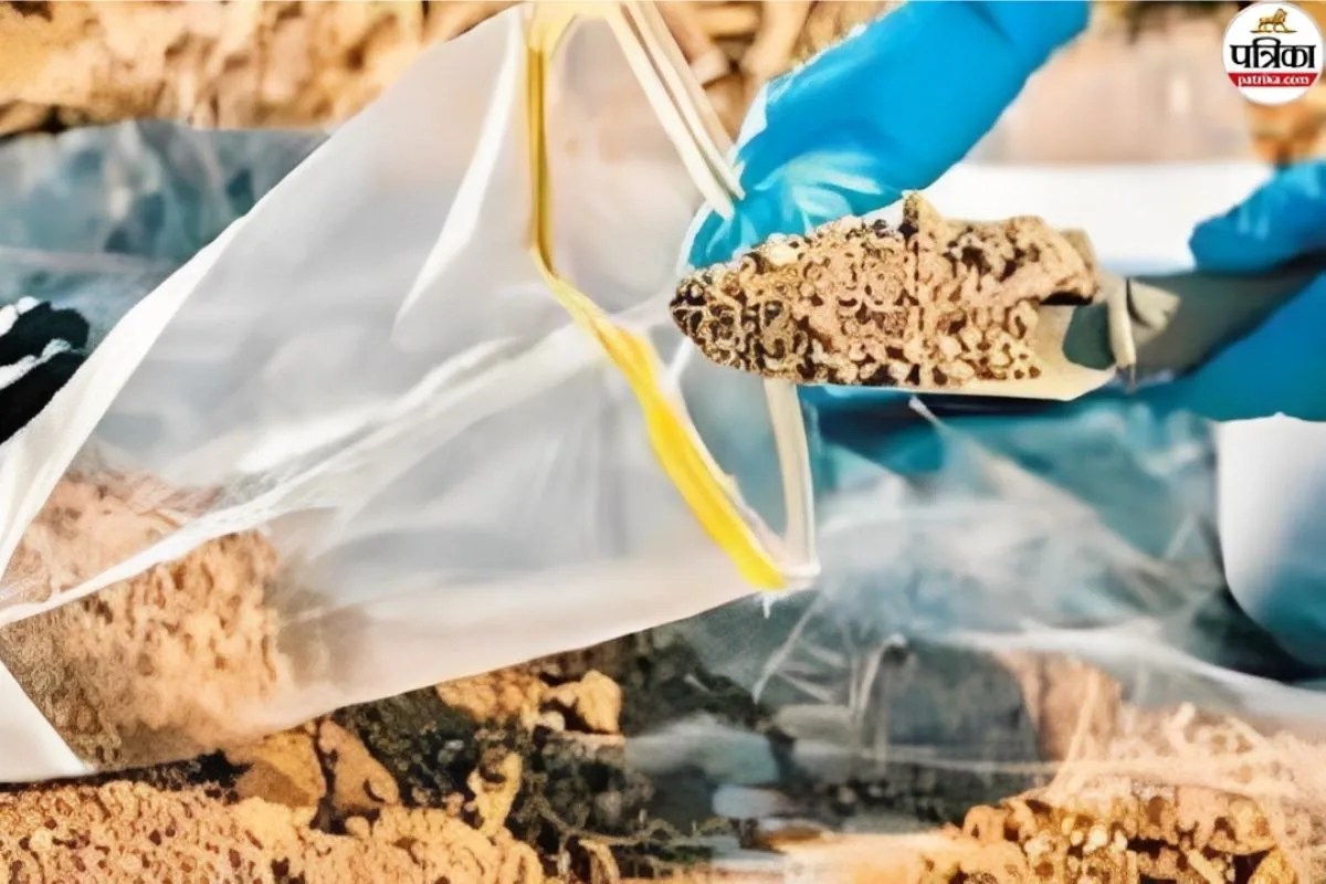 Sriganganagar soil