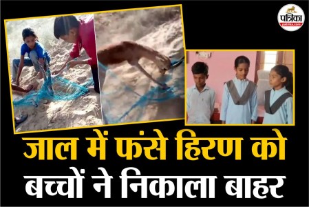 Rajasthan Barmer four siblings rescue deer trapped in net