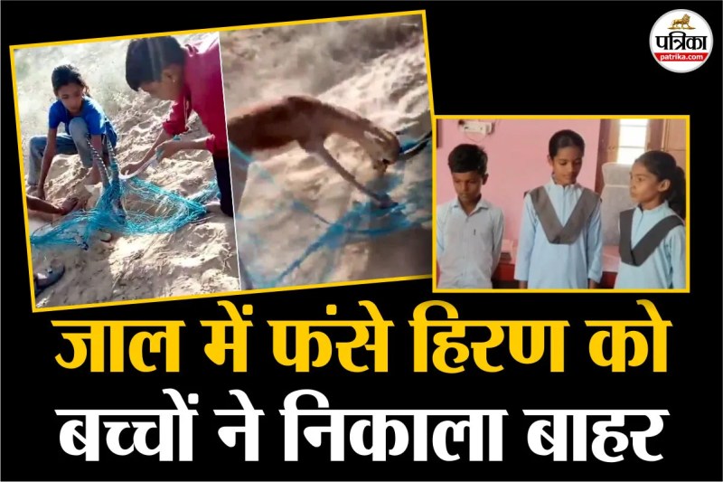Rajasthan Barmer four siblings rescue deer trapped in net