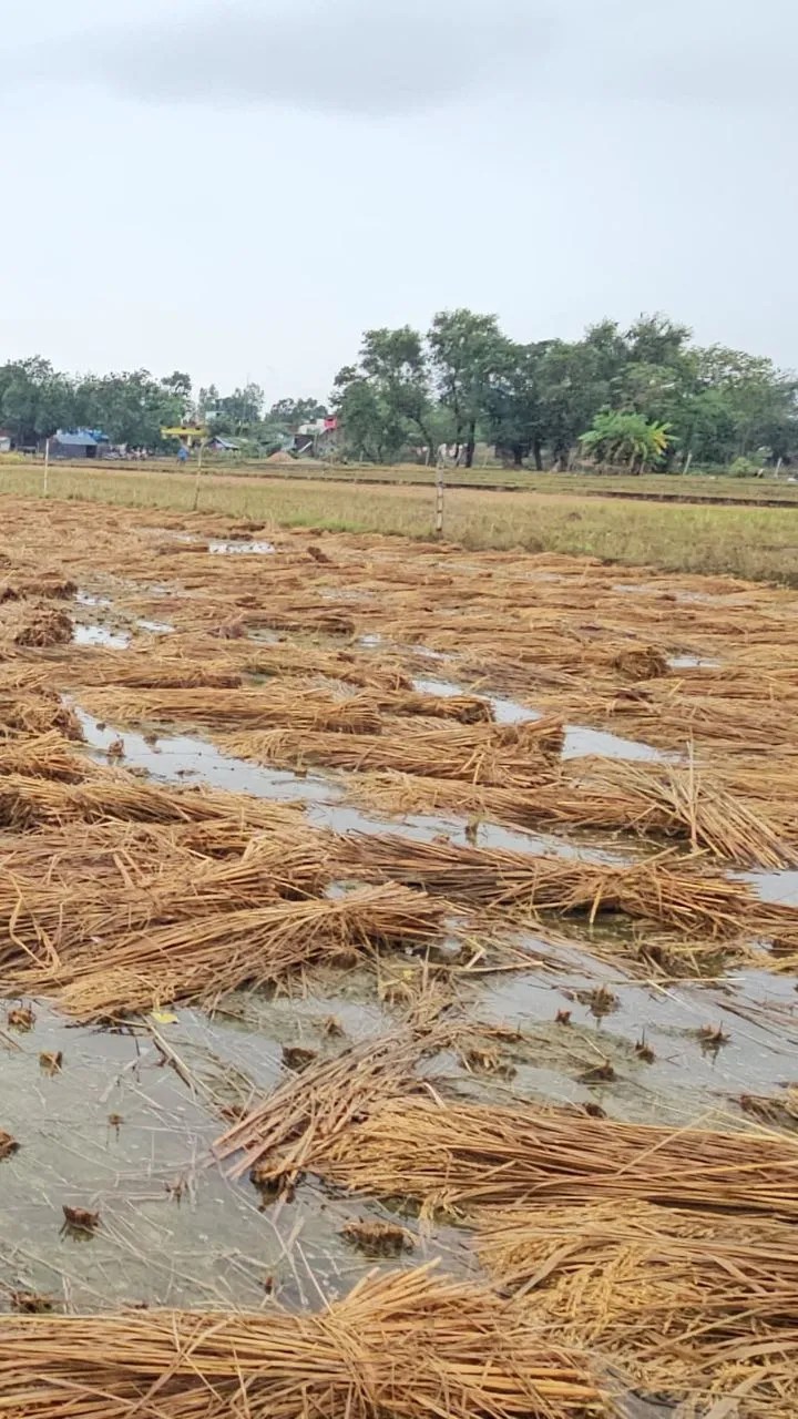 Short video poster image