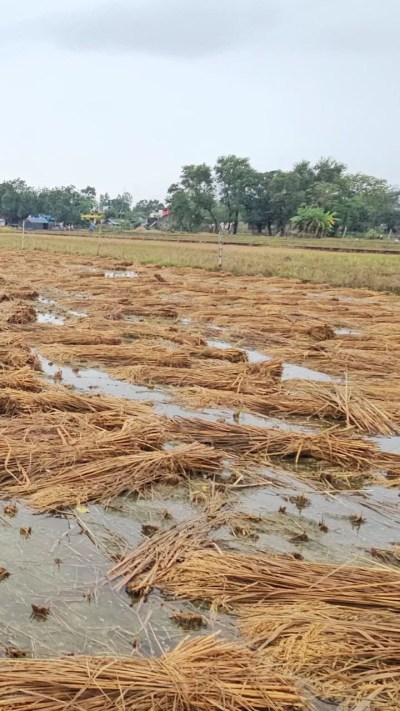 Short video poster image