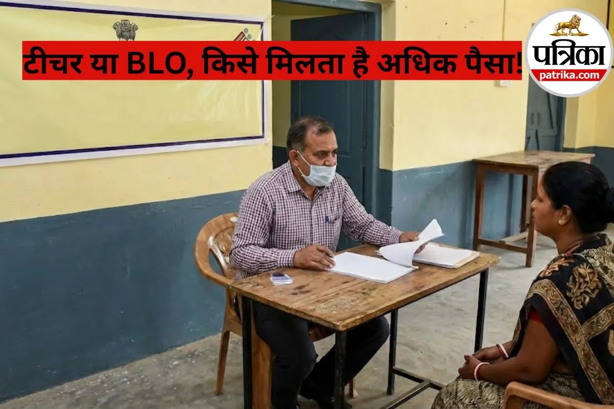 BLO vs Teacher Salary