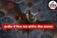 BRZ batCoV Virus