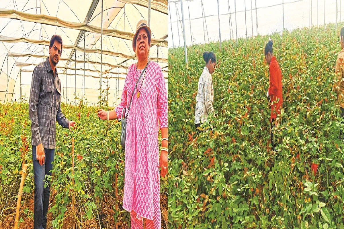 खेती में नवाचार (photo source- Patrika)