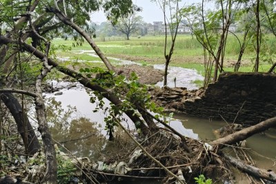 तालाब के ओवरफ्लो पानी के बहाव ने उजाड़ दी वन विभाग की पौधशाला