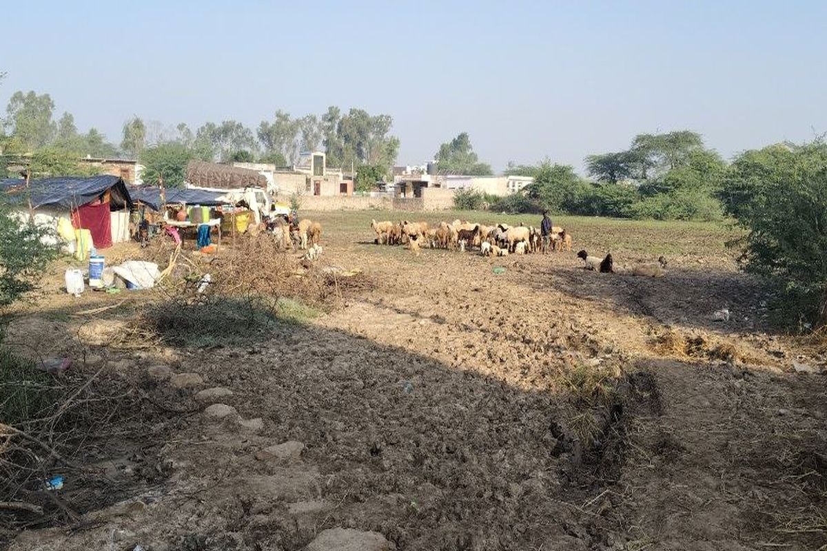 खेल मैदान होने के बावजूद भी खेलों से वंचित हो रहे बच्चे