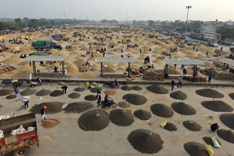 कुंवारती कृषि उपज मंडी में चल रही अव्यवस्थाओं को लेकर शुक्रवार को आवक भी घटकर आधी रह गई।