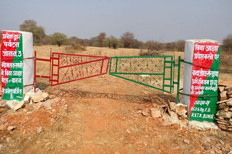 रामगढ़ विषधारी टाइगर रिजर्व में ऑनलाइन सफारी बुकिंग शुरू, धरातल पर नहीं