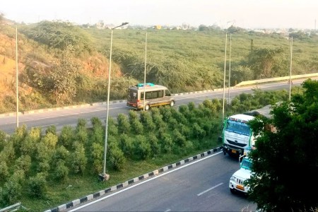 मोरड़ी की छतरी तक व कालदां के जंगलों में बाघों की मॉनिटरिंग के लिए बनेगा ट्रेक