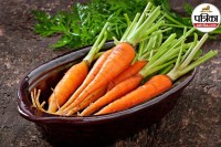 Carrot healthy eating guide, Raw carrot stomach issues, Best way to eat carrots,