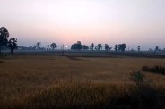 Cold in Ambikapur
