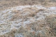 Cold wave