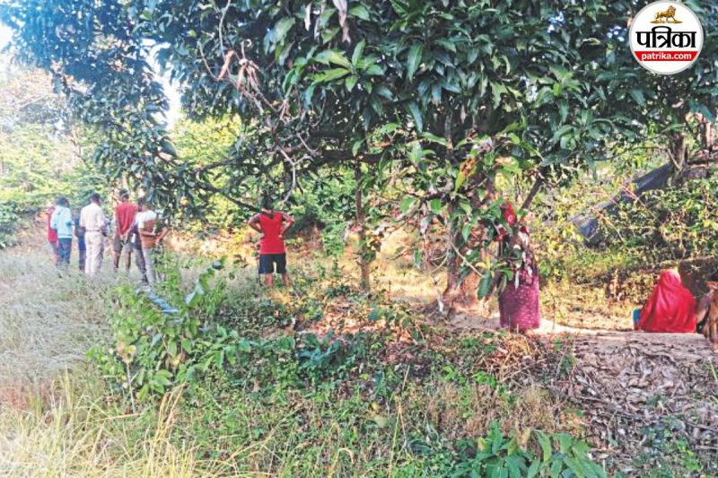 गजराज मचा रहे उत्पात (फोटो सोर्स - पत्रिका)