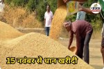 15 नवंबर से शुरू होगी धान खरीदी (photo source- Patrika)