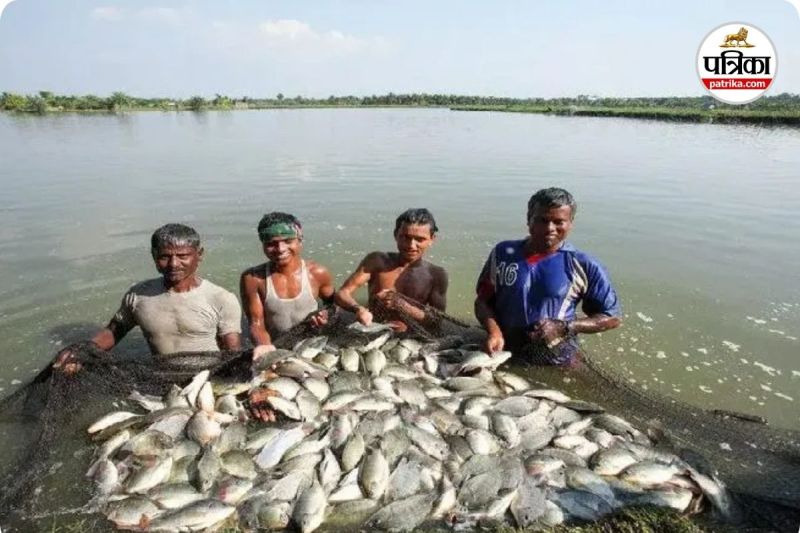 22 माह में 22,805 मीट्रिक टन मत्स्य उत्पादन (photo source- Patrika)