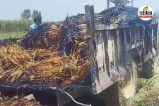 ओवर लोड धान ट्रैक्टर में लगी आग (photo source- Patrika)