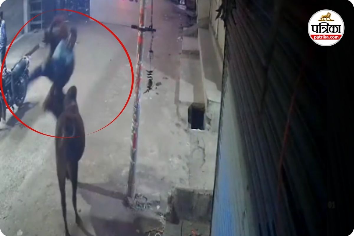 सांडों का आतंक जारी! शख्स को हवा में उछालकर पटका… VIDEO देख आपके भी उड़ जाएंगे होश